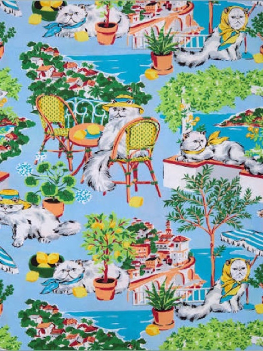 NOT FOR SALE - ISO!!!!! - Printfresh Mediterranean Meow Item